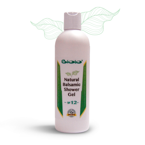 Natural balsamic shower gel – № 12 – with camel milk, argan oil and cinnamon oil – 330 ml.